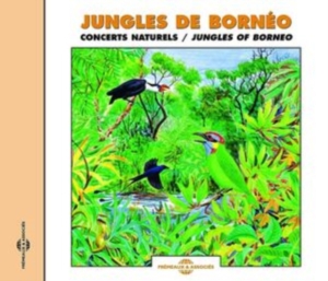 Birdsong - Birds Of The Jungles Of Borneo in the group CD / Övrigt at Bengans Skivbutik AB (5627637)