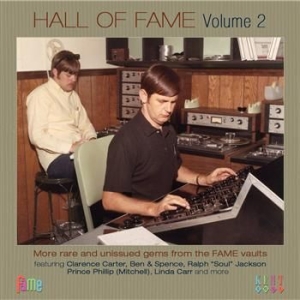 Blandade Artister - Hall Of Fame Volume 2: More Rare & in the group CD / Pop-Rock at Bengans Skivbutik AB (562778)