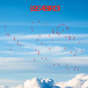 Whyb - Seabird in the group VINYL / Elektroniskt at Bengans Skivbutik AB (5627902)