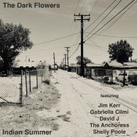 The Dark Flowers - Indian Summer in the group CD / Pop-Rock at Bengans Skivbutik AB (5628001)