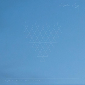 Temple Fang - Lifted From The Wind in the group VINYL / Pop-Rock at Bengans Skivbutik AB (5628177)