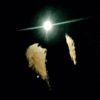 Midwife - Forever in the group Pop-Rock at Bengans Skivbutik AB (5628265)