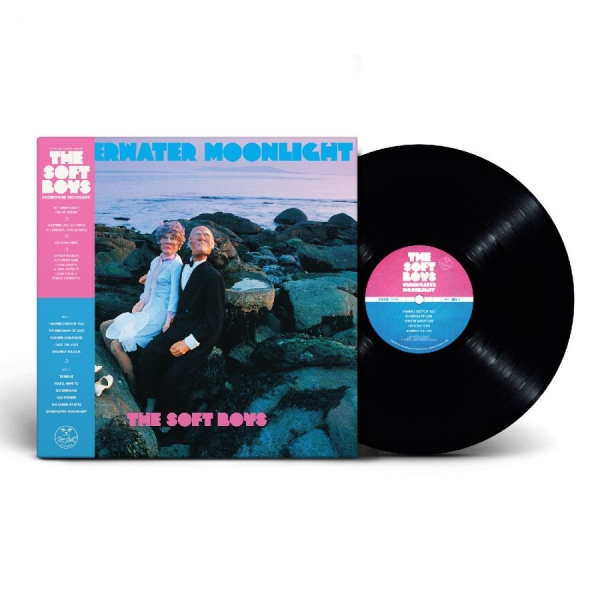 Soft Boys The - Underwater Moonlight (45Th Annivers in the group OUR PICKS / Friday Releases / 2025-08-29 at Bengans Skivbutik AB (5628776)