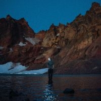 Mcnown Max - Night Diving (The Cost Of Growing U in the group OUR PICKS / Friday Releases / 2025-08-15 at Bengans Skivbutik AB (5628959)