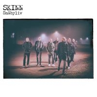 Skinn - Småbyliv in the group VINYL / Pop-Rock at Bengans Skivbutik AB (5628988)
