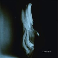 Tom Odell - A Wonderful Life in the group OUR PICKS / Friday Releases / 2025-09-05 at Bengans Skivbutik AB (5629412)