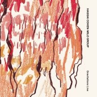 Cohen-Milo Haggai - Gravitations in the group CD / Jazz at Bengans Skivbutik AB (5629421)