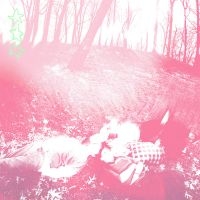 Shower Curtain - Words From A Wishing Well (Benadryl in the group OUR PICKS / Friday Releases / 2025-07-25 at Bengans Skivbutik AB (5629449)