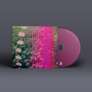 Snowpoet - Heartstrings in the group CD / Jazz at Bengans Skivbutik AB (5629500)