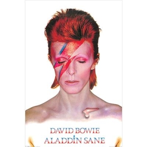 David Bowie  - Aladdin Sane  91,5 X 61 Cm in the group MERCHANDISE /  /  at Bengans Skivbutik AB (5630238)