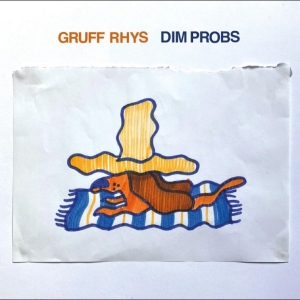 Rhys Gruff - Dim Probs (Indie Exclusive, Orange in the group OUR PICKS / Friday Releases / 2025-09-12 at Bengans Skivbutik AB (5630700)