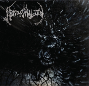 Abnormality - Mechanisms Of Omniscience in the group VINYL / Pop-Rock at Bengans Skivbutik AB (5631070)