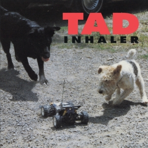 Tad - Inhaler in the group OUR PICKS / Friday Releases / 2025-08-15 at Bengans Skivbutik AB (5631176)