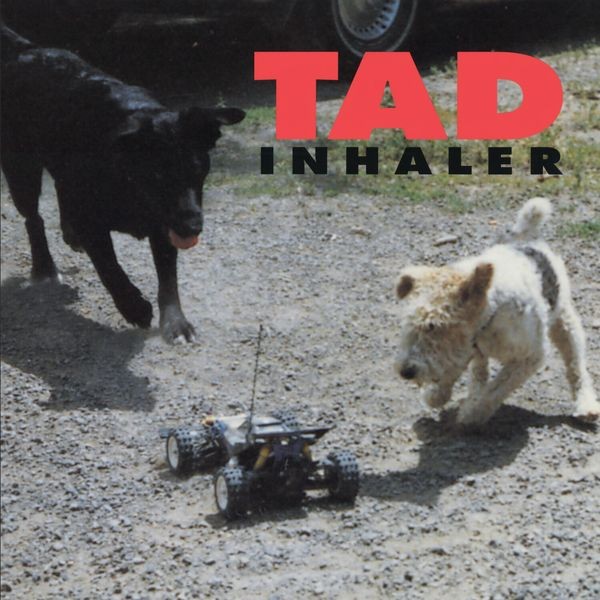 Tad - Inhaler in the group CD / Pop-Rock at Bengans Skivbutik AB (5631176)