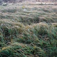 Gunn Steve - Music For Writers (Opaque Orange Vi in the group OUR PICKS / Friday Releases / 2025-08-15 at Bengans Skivbutik AB (5631215)