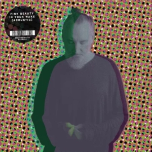 Fink - Beauty In Your Wake Acoustic in the group OUR PICKS / Friday Releases / 2025-07-18 at Bengans Skivbutik AB (5631248)