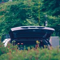 Ishibashi Eiko & Jim O'rourke - Pareidolia in the group OUR PICKS / Friday Releases / 2025-08-29 at Bengans Skivbutik AB (5632271)