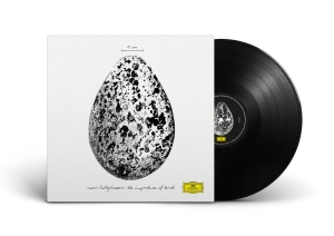 Snorri Hallgrímsson - The Importance Of Birds in the group OUR PICKS / Friday Releases / 2025-10-31 at Bengans Skivbutik AB (5632298)