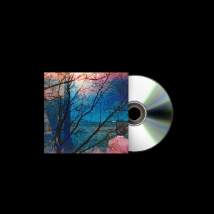 Idlewild - Idlewild in the group OUR PICKS / Friday Releases / 2025-10-03 at Bengans Skivbutik AB (5632743)