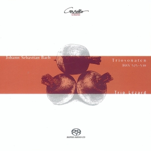Bach J S - Trio Sonatas Bwv 525-530 (Arr. For in the group MUSIK / SACD / Klassiskt at Bengans Skivbutik AB (5632822)