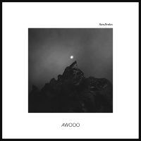 Ruen Brothers - Awooo in the group OUR PICKS / Friday Releases / 2025-10-17 at Bengans Skivbutik AB (5633457)