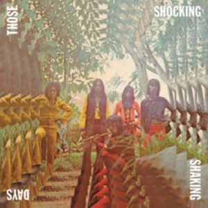 Various Artists - Those Shocking Days in the group VINYL / Pop-Rock at Bengans Skivbutik AB (5634098)