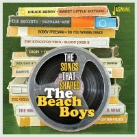 Various - The Songs That Shaped The Beach Boy in the group OUR PICKS / Friday Releases / 2025-08-08 at Bengans Skivbutik AB (5634634)