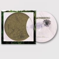 Gathering The - Nighttime Birds (Picture Vinyl Lp) in the group OUR PICKS / Friday Releases / 2025-09-26 at Bengans Skivbutik AB (5635322)
