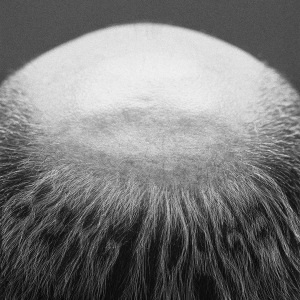 Vasas Flora Och Fauna - Berg I Dagen (Ltd Ed 2Lp) in the group OUR PICKS / Friday Releases / 2025-10-17 at Bengans Skivbutik AB (5635807)