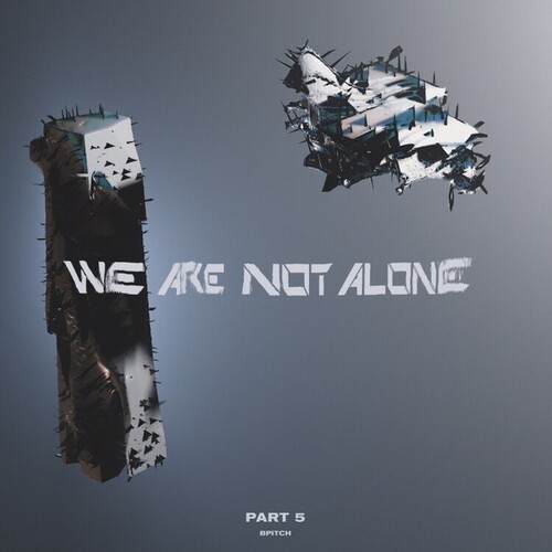 Various Artists - We Are Not Alone - Part 5 in the group VINYL / Pop-Rock at Bengans Skivbutik AB (5635974)