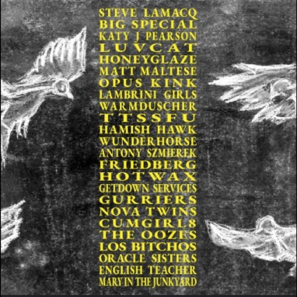 Various Artists - A Hideous Collective in the group OUR PICKS / Friday Releases / 2025-09-05 at Bengans Skivbutik AB (5636417)