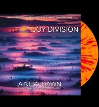 Joy Division - A New Dawn (Coloured Vinyl) in the group VINYL / Pop-Rock at Bengans Skivbutik AB (5637019)