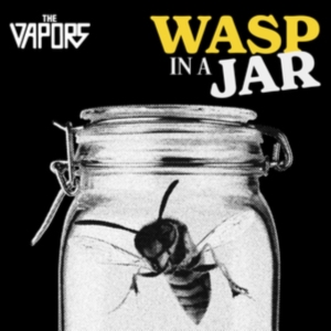 Vapors - Wasp In A Jar in the group CD / Punk at Bengans Skivbutik AB (5637093)
