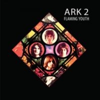 Flaming Youth - Ark 2 in the group VINYL / Pop-Rock at Bengans Skivbutik AB (5637227)