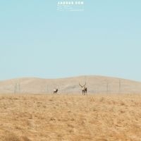 Jaguar Sun - For You (Blue And Black Swirl Vinyl in the group VINYL / Pop-Rock at Bengans Skivbutik AB (5637991)