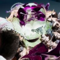 Dragongirl - Hot Blue in the group OUR PICKS / Friday Releases / 2025-10-10 at Bengans Skivbutik AB (5638987)