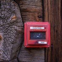 Reolo - Dystopi Delete in the group OUR PICKS / Friday Releases / 2025-10-10 at Bengans Skivbutik AB (5639003)