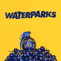Waterparks - Double Dare in the group OUR PICKS / Friday Releases / 2025-09-19 at Bengans Skivbutik AB (5639030)
