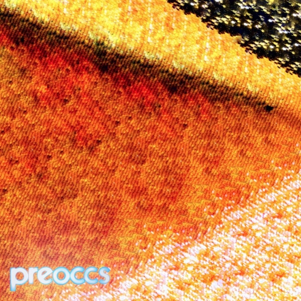 Preoccupations - Mur/Ponr (Yellow Vinyl) in the group VINYL / Pop-Rock at Bengans Skivbutik AB (5639155)