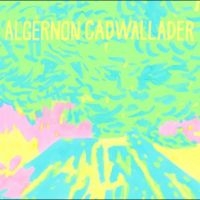 Algernon Cadwallader - Trying Not To Have A Thought in the group OUR PICKS / Friday Releases / 2025-09-12 at Bengans Skivbutik AB (5639620)