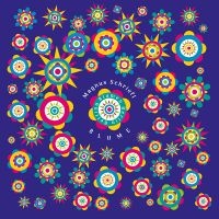 Schriefl Magnus - Blumen Berlin Bettina in the group OUR PICKS / Friday Releases / 2025-09-26 at Bengans Skivbutik AB (5640009)