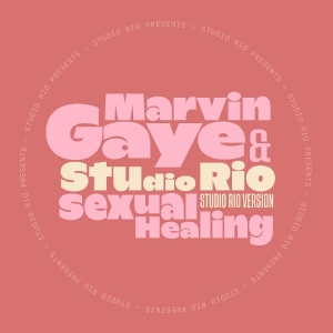 Marvin Gaye & Studio Rio - Sexual Healing in the group OUR PICKS / Friday Releases / 2025-10-31 at Bengans Skivbutik AB (5640370)