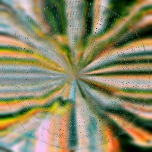 Hoffmann Nils - Everlight in the group VINYL / Pop-Rock at Bengans Skivbutik AB (5640698)