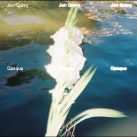 Jon Gravy - Opaque in the group VINYL / Bestsellers at Bengans Skivbutik AB (5640925)