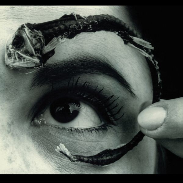 Mr. Bungle - Disco Volante (Ltd Blue 2Lp Rocktober) in the group VINYL / Pop-Rock at Bengans Skivbutik AB (5641259)