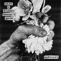 Softcult - When A Flower Doesn't Grow in the group CD / Upcoming releases / Pop-Rock at Bengans Skivbutik AB (5642304)