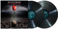 Spocks Beard - Archaeoptimist The (2 Lp Black Vinyl) in the group OUR PICKS / Friday Releases / 2025-11-21 at Bengans Skivbutik AB (5642315)