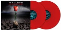 Spocks Beard - Archaeoptimist The (2 Lp Red Vinyl) in the group OUR PICKS / Friday Releases / 2025-11-21 at Bengans Skivbutik AB (5642317)