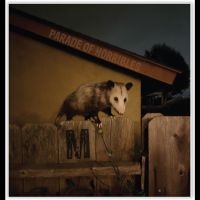 Parade Of Horribles - Nma in the group OUR PICKS / Friday Releases / 2025-10-10 at Bengans Skivbutik AB (5642348)