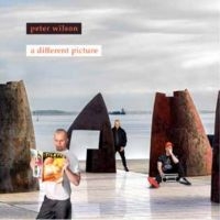 Peter Wilson - A Different Picture in the group OUR PICKS / Frontpage - CD New & Forthcoming at Bengans Skivbutik AB (5642418)